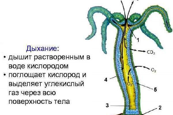 Кракен 17 af